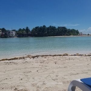 Meet your Posher, Reyna